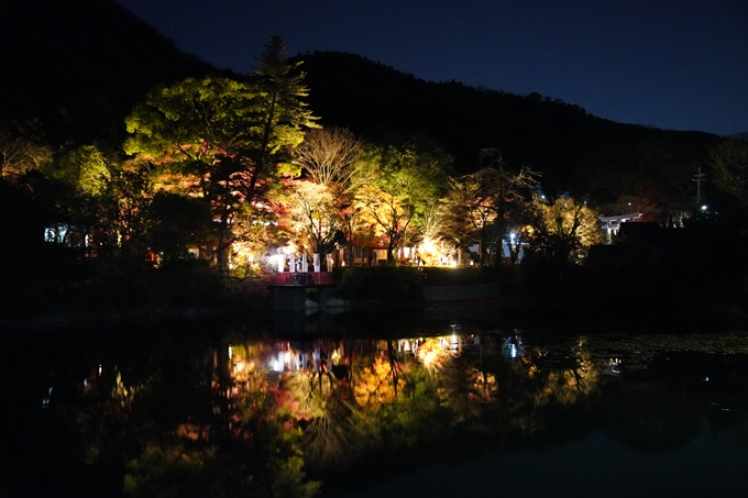 京都_紅葉_2020_出雲大神宮　No26