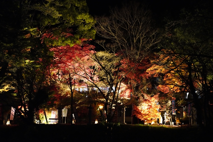 京都_紅葉_2020_出雲大神宮　No27