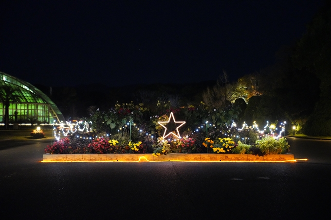 京都_紅葉_2020_植物園　No2