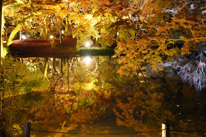 京都_紅葉_2020_植物園　No10