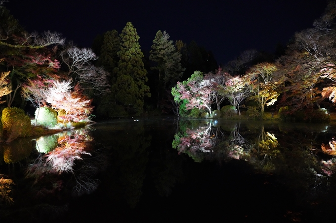 京都_紅葉_2020_植物園　No15