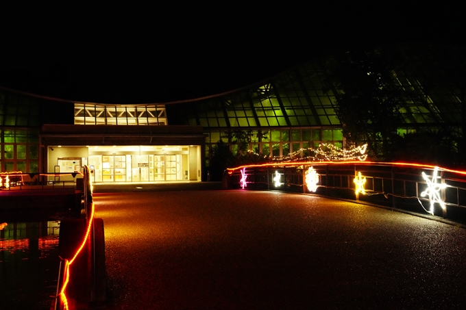 京都_紅葉_2020_植物園　No22