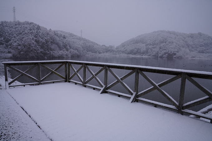 亀岡市内_雪景色_2020　No7