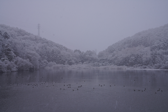 亀岡市内_雪景色_2020　No8