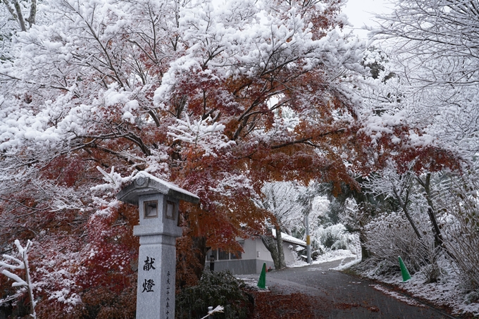 亀岡市内_雪景色_2020　No22