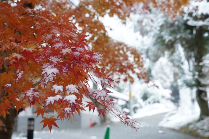 亀岡市内_雪景色_2020　No23