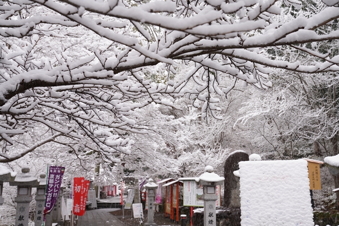 亀岡市内_雪景色_2020　No11