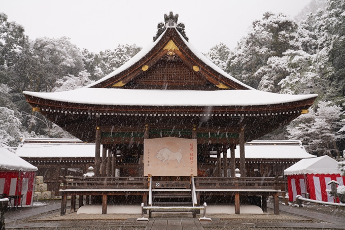 亀岡市内_雪景色_2020　No14