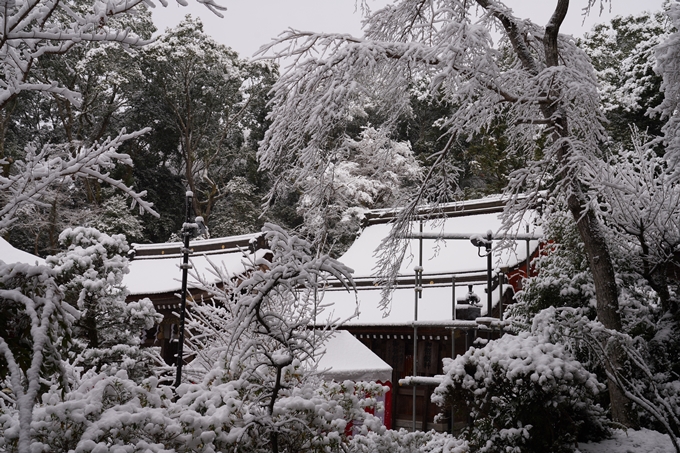 亀岡市内_雪景色_2020　No17