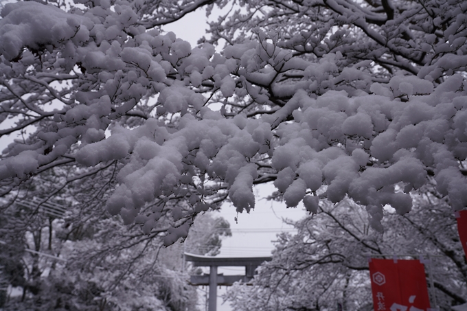 亀岡市内_雪景色_2020　No10