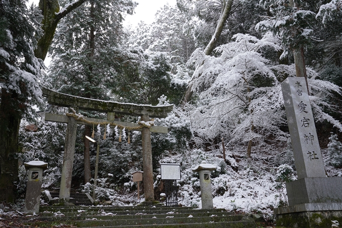 亀岡市内_雪景色_2020　No27