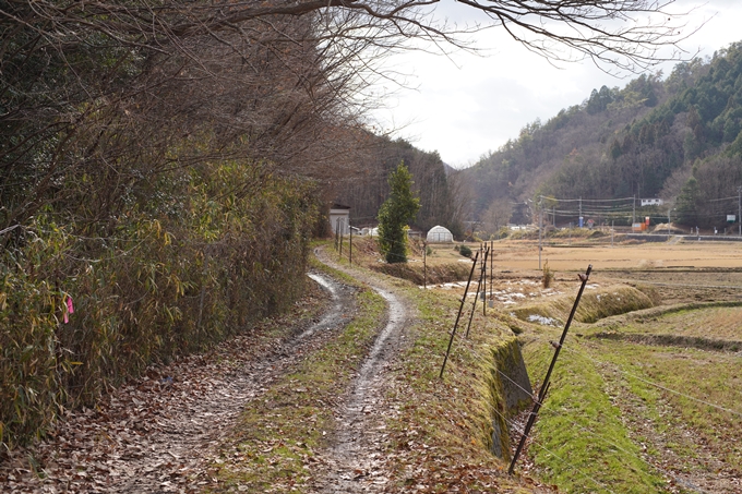 麒麟がくる_丹波_笑路城跡　No6