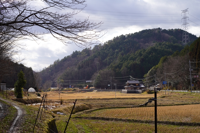 麒麟がくる_丹波_笑路城跡　No5