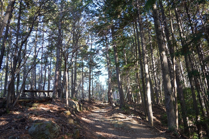 麒麟がくる_牛松山　No30