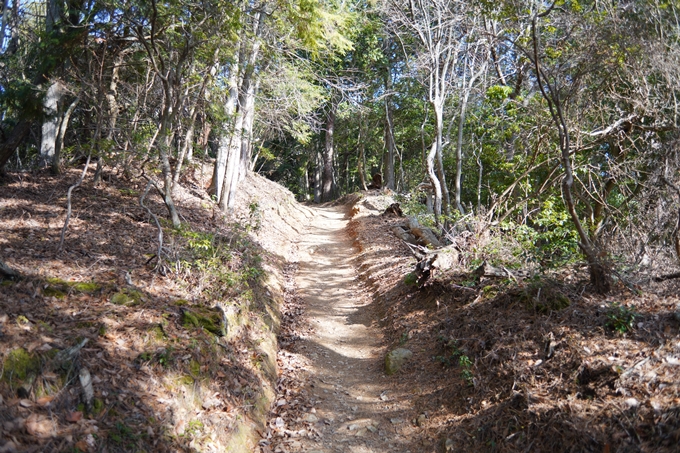 麒麟がくる_牛松山　No40