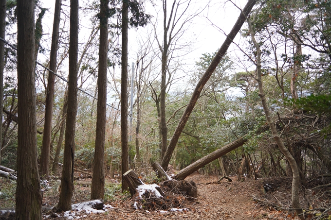 麒麟がくる_牛松山　No92