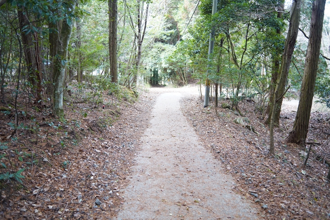 麒麟がくる_牛松山　No106