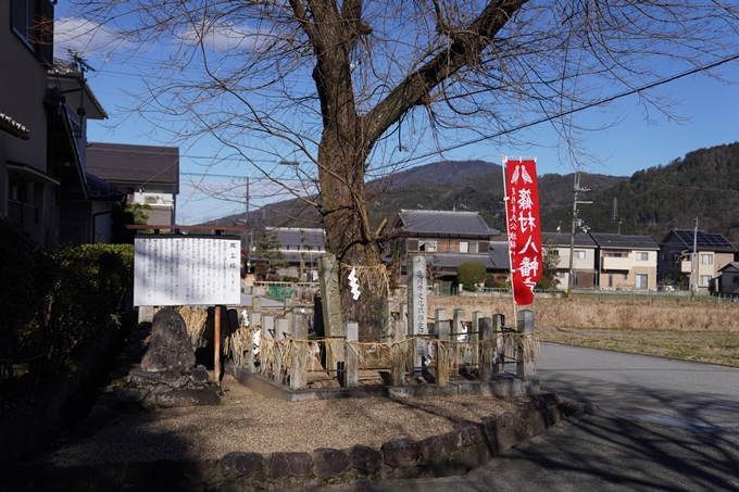 麒麟がくる_篠村八幡宮　No28