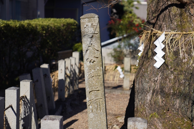 麒麟がくる_篠村八幡宮　No30