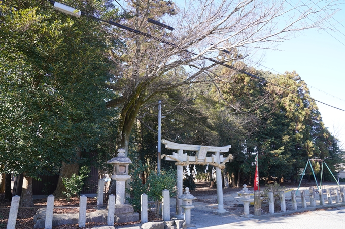 麒麟がくる_篠村八幡宮　No32