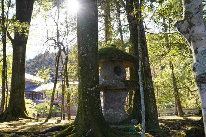 麒麟がくる_岩城神社　No12