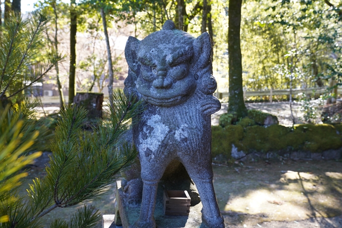 麒麟がくる_岩城神社　No18