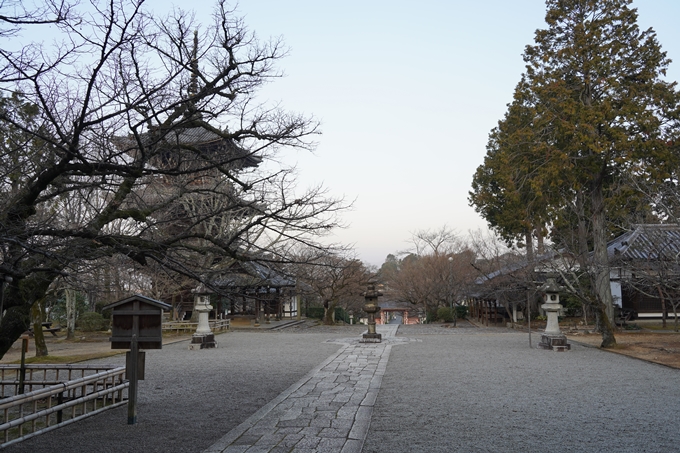 麒麟がくる_日本初_本能寺の変　No6