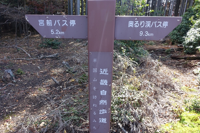 めざそう半国山　No102