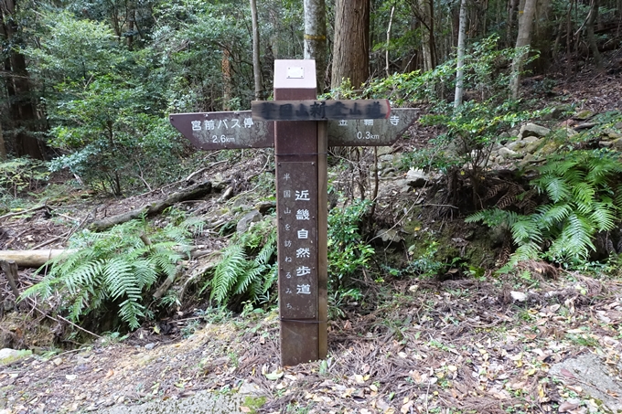 めざそう半国山　No121