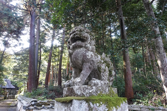 宮川神社　No7