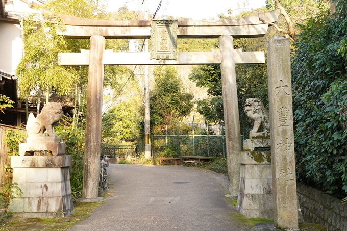 桜_2021_15　大豊神社　No2