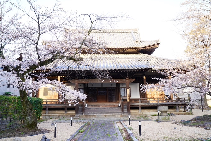 桜_2021_16　立本寺　No12