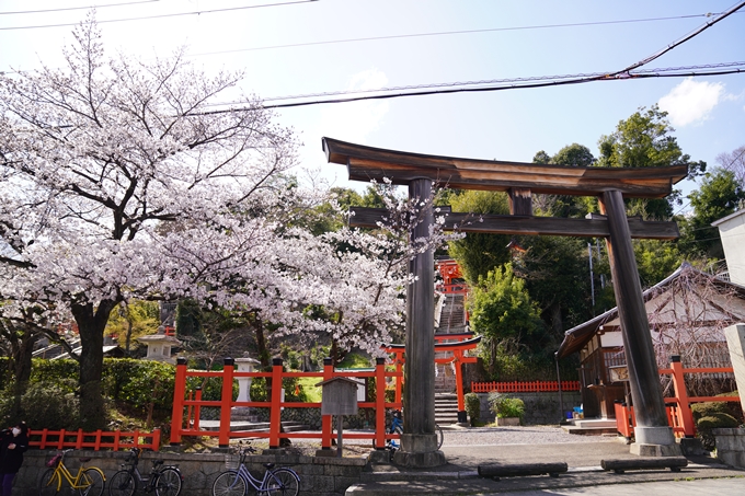 桜_2021_17　建勲神社　No2