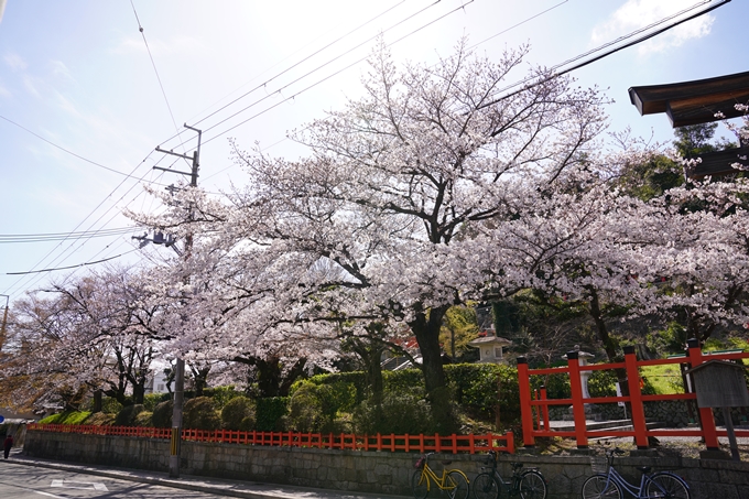 桜_2021_17　建勲神社　No3