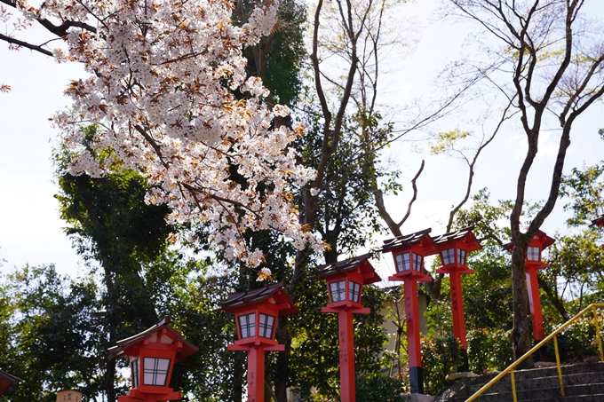 桜_2021_17　建勲神社　No7