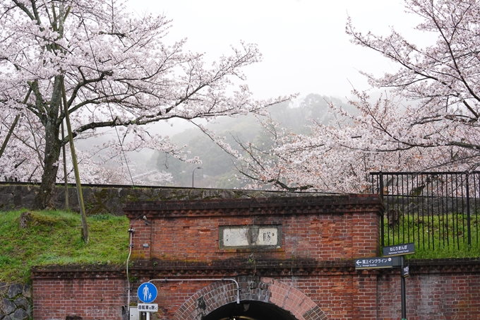 桜_2021_25　インクライン_南禅寺_哲学の道　No8