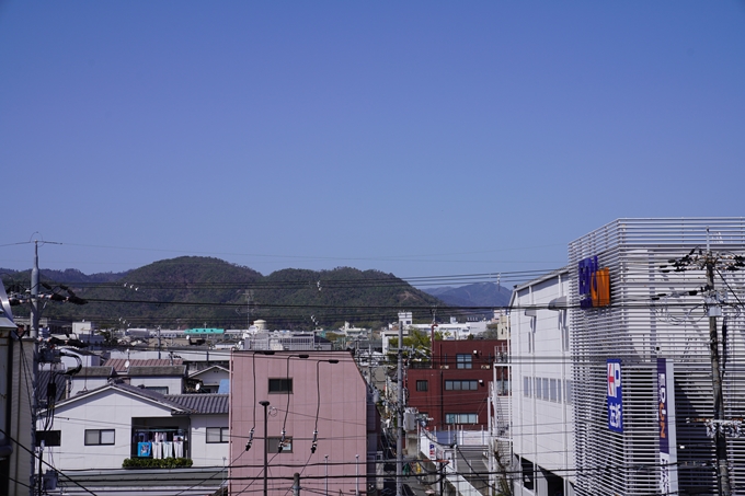 桜_2021_43　JR保津峡駅　No2