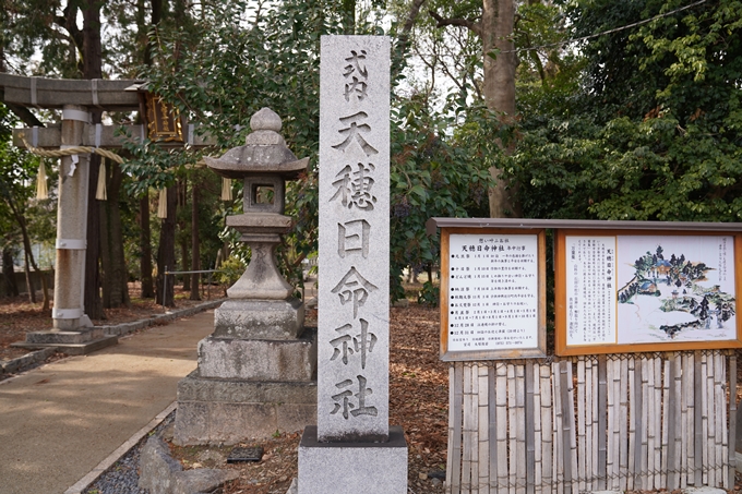 天穂日命神社　No10