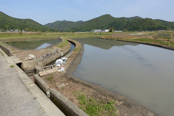 霊仙ヶ岳登山_法貴古墳群_法貴城跡　No5