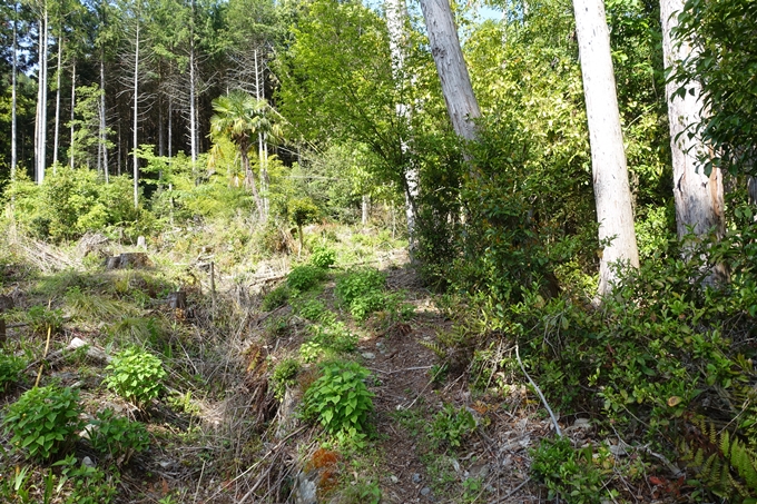 霊仙ヶ岳登山_法貴古墳群_法貴城跡　No9