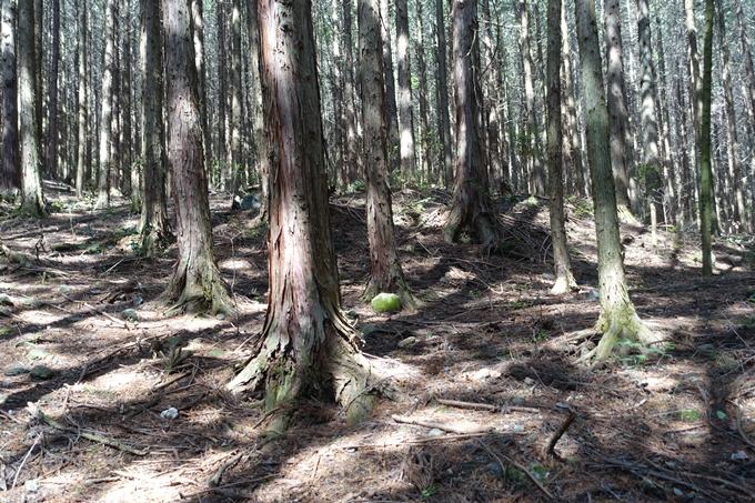 霊仙ヶ岳登山_法貴古墳群_法貴城跡　No13