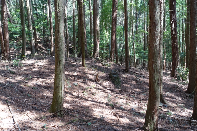 霊仙ヶ岳登山_法貴古墳群_法貴城跡　No14