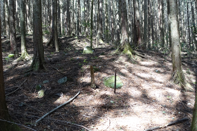 霊仙ヶ岳登山_法貴古墳群_法貴城跡　No15