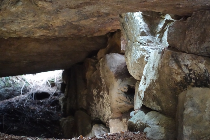 霊仙ヶ岳登山_法貴古墳群_法貴城跡　No19