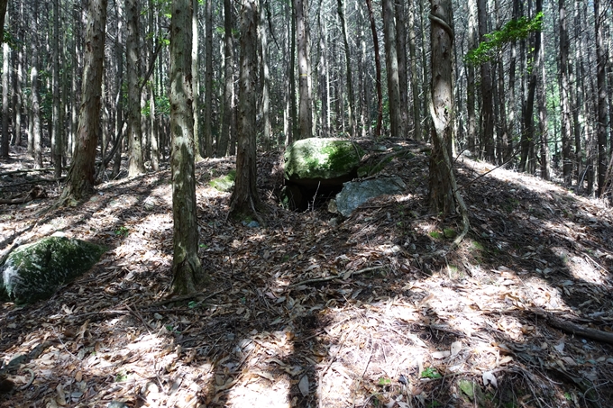 霊仙ヶ岳登山_法貴古墳群_法貴城跡　No23