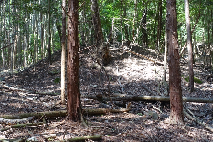 霊仙ヶ岳登山_法貴古墳群_法貴城跡　No28