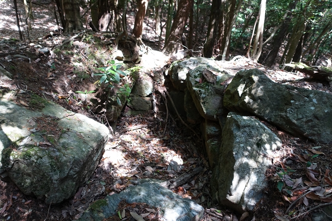 霊仙ヶ岳登山_法貴古墳群_法貴城跡　No29