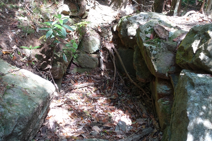 霊仙ヶ岳登山_法貴古墳群_法貴城跡　No30