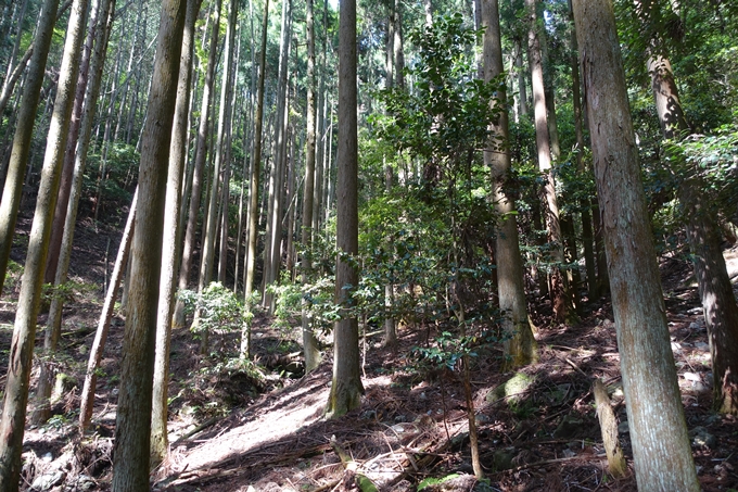 霊仙ヶ岳登山_法貴古墳群_法貴城跡　No32