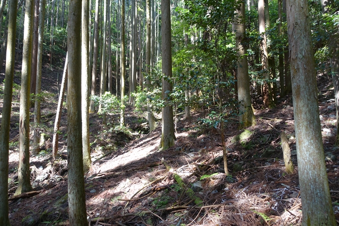 霊仙ヶ岳登山_法貴古墳群_法貴城跡　No33